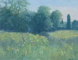 Brett McEntagart, The Tansey Field, Oil on board