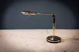 Desk Lamp, 51