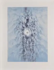 Louis le Brocquy, Human Image, IV