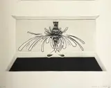 Micheal Farrell, Presse Series, Etching
