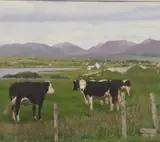 Mary Reynolds, Twelve Pins From Cleggan, Oil on canvas