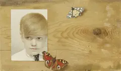 Patrick Hennessy, Butterfly Boy, Oil on canvas