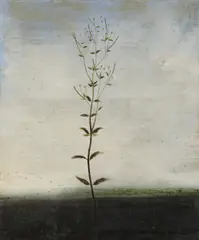 Michael Canning, Untitled Ii, 2004, Oil