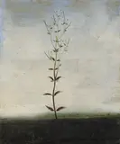 Michael Canning, Untitled Ii, 2004, Oil