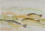 Barrie Cooke, Trout, New Zealand, I
