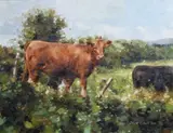 Mark O'Neill, Red Alert, Oil on board