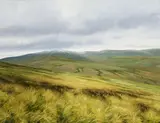 Eugene Conway, Snow On Glencullen, Oil on canvas