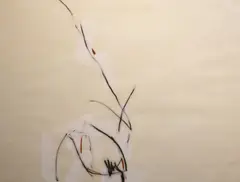 Mary Fitzgerald, Series 6, Oil and charcoal on paper
