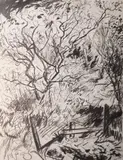 Joe Wilson, From Potatoe Patch To Apple Trees