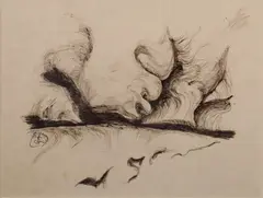 Sonja Landweer, Burren I, Pen drawing