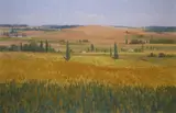 Brett McEntagart, Fields Of Gold, France