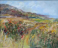 Robert Bottom, Summer Fields. Drumnacraig, Fanad, Co. Donegal