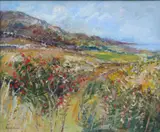 Robert Bottom, Summer Fields. Drumnacraig, Fanad, Co. Donegal