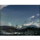 Vernon Ward, Duck Rising From A Lake