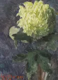 Kitty Lange Kielland, Krysantemum, 1901, Olje på papp