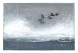 Axel Thorenfeldt, Ærfugl i storm