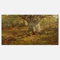 Wiliam Luker I, "Burnham Beeches", 1885, Öl auf Malkarton