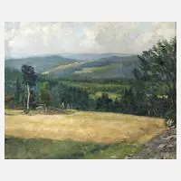 Arnold Busch, Bei Falkenhain, Öl auf Leinwand