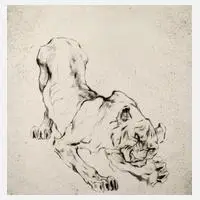 Curt Meyer-Eberhardt, Fauchender Tiger, Radierung auf Bütten