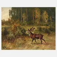 Hanns Taeger, Hirsch auf Waldlichtung, Öl auf Leinwand