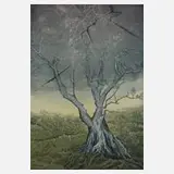 Peter Sylvester, "Alter Ölbaum", Farbradierung