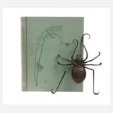 Fritz Kühn, Spinne
