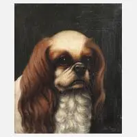 Albert Haug, "King Charles Spaniel", 1908, Öl auf Leinwand