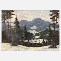 Vladimir Raszka, Verschneite Gebirgslandschaft, Öl auf Leinwand und Spannrahmen