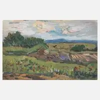 Alexander Wolfgang, "Blick ins Elstertal", Öl auf Karton