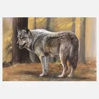 Christiane Vleugels, Spähender Wolf, Mischtechnik