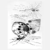 Carlfriedrich Claus, "Handreflektion", Offsetlithographie