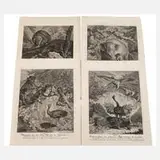 Johann Elias Ridinger, Graphiksammlung, Kupferstich auf Bütten