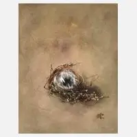 Willy Kriegel, Vogelnest, Federn