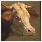 Horst Einöder, Rinderportrait, 2013, Öl auf Leinwand