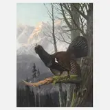 Clemens Freitag, Balzender Auerhahn im Gebirge, Öl auf Leinwand