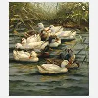 Hubert Kaplan, "Enten im Teich", Federkleids