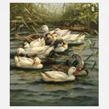 Hubert Kaplan, "Enten im Teich", Federkleids