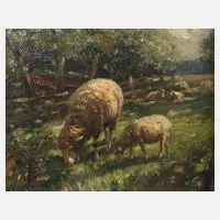 A. Muller, Schafe auf der Weide, Öl auf Leinwand