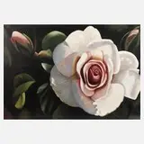 Frank Forster, Rose "City of London", Öl auf Leinwand und Keilrahmen