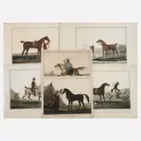 Charles F. G. Levachez, aus "Suite de Chevaux", aquarellierte