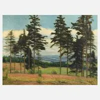 Albin Schlehahn, Spätsommer im Vogtland, 1931, Öl auf Leinwand