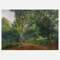 Edy Gomes Carôllo, »Waldgarten«, Öl auf Leinwand