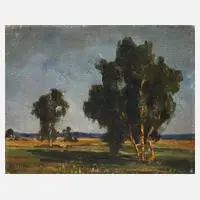 R. v. Otto, Weite Sommerlandschaft, Öl auf Leinwand und Keilrahmen