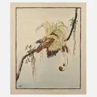 Walther Klemm, "Großer Paradiesvogel", Federkleid auf einem Ast sitzend