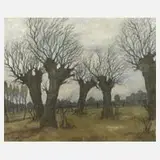Heinz Vogel, Kopfweiden, Aquarell auf fasrigem Japanpapier