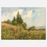 Siegfried Hauffe, Blühende Sommerwiese, Aquarell auf Aquarellkarton