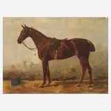Emil Volkers, Braune Vollblutstute
