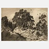 Otto Ubbelohde, "Kiefern", Radierung auf Velin
