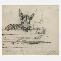 Adolf Stademann, Eselstudie, 1873, Kohle auf leicht bläulichem Papier