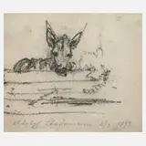 Adolf Stademann, Eselstudie, 1873, Kohle auf leicht bläulichem Papier